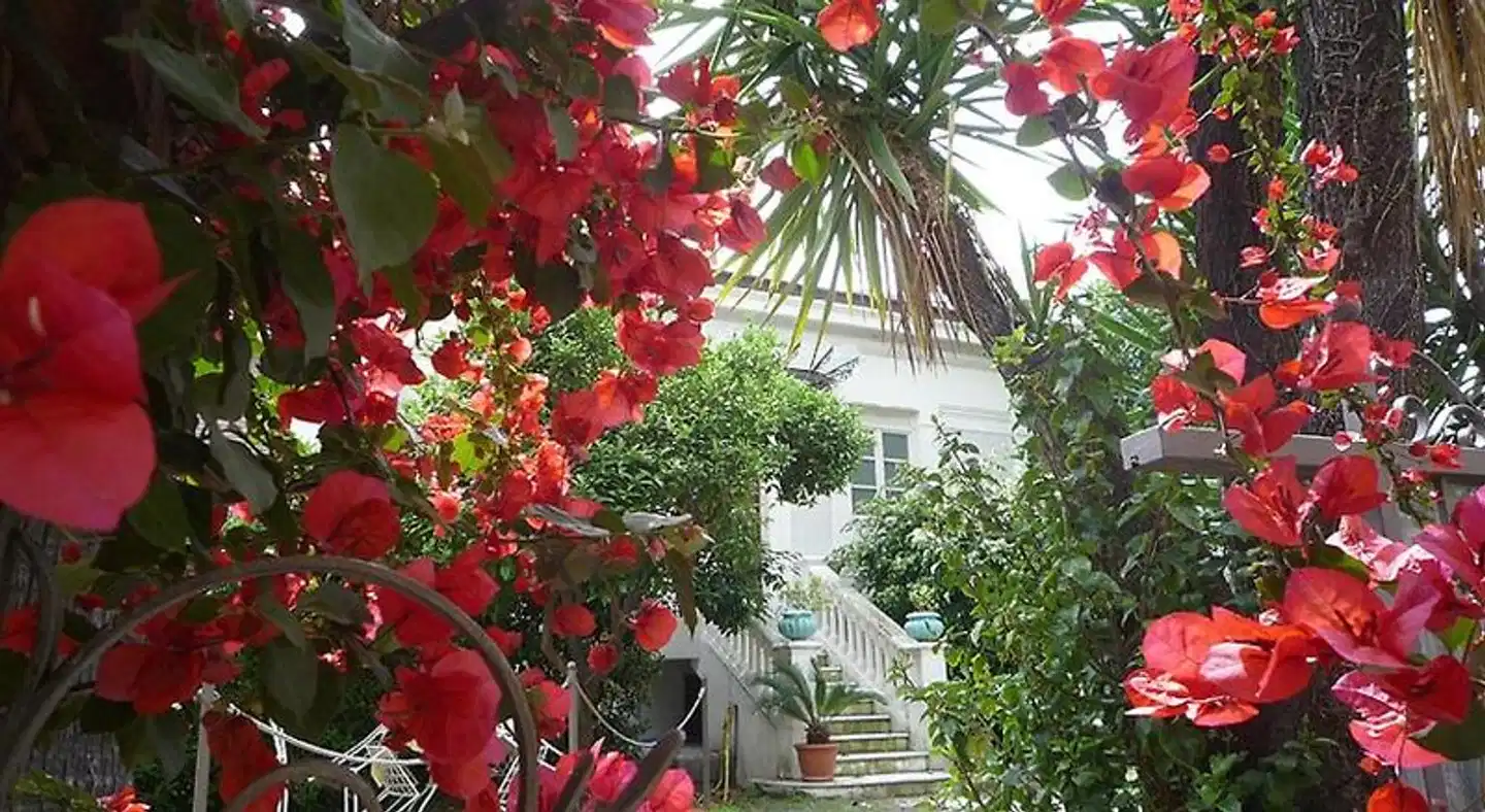 Palais La Nasse Garten