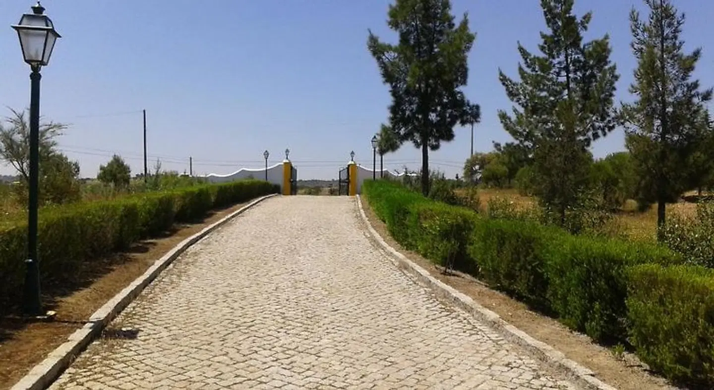 Herdade Do Rio Torto LANDSCAPE