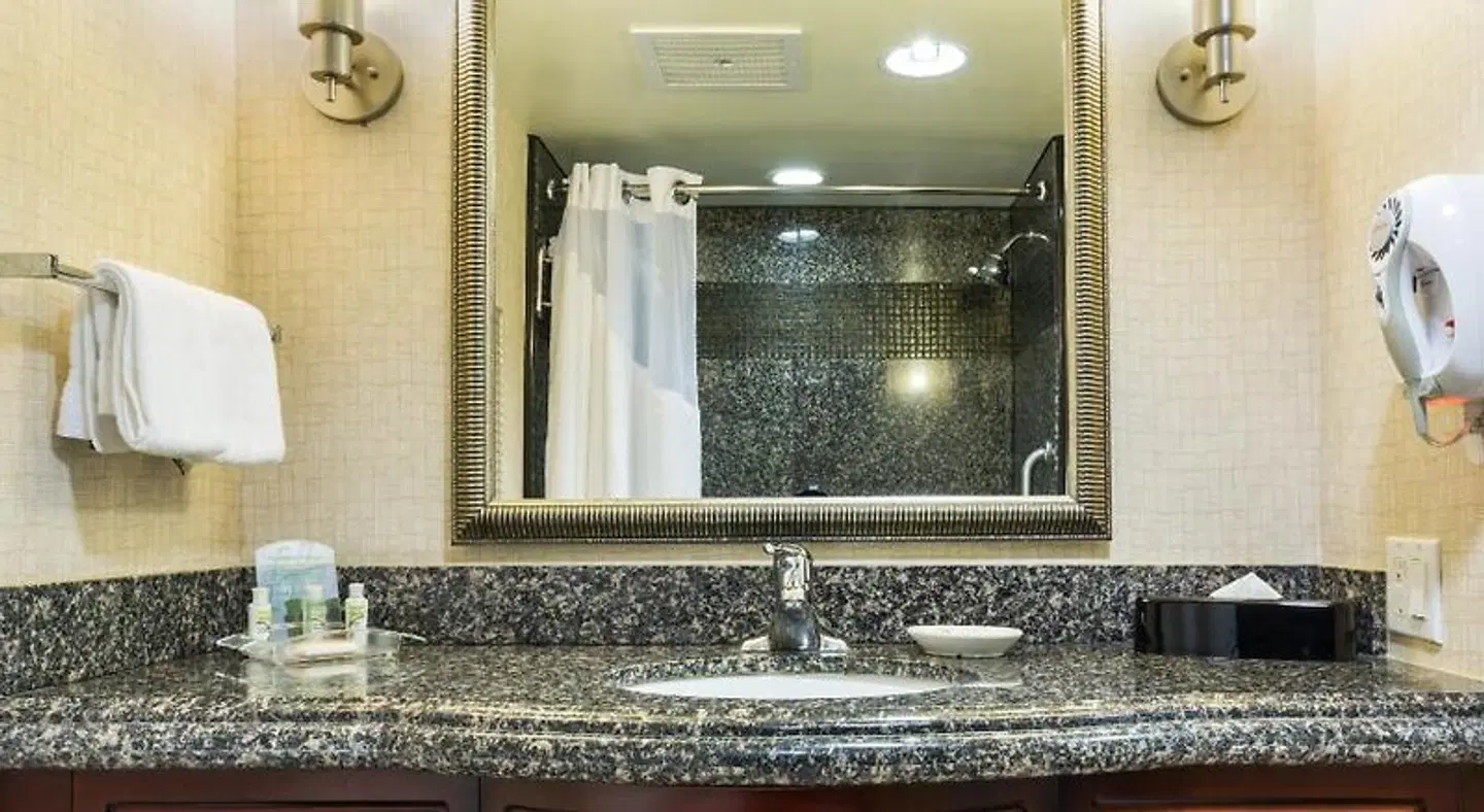 Holiday Inn Daytona Beach Lpga Blvd Badezimmer