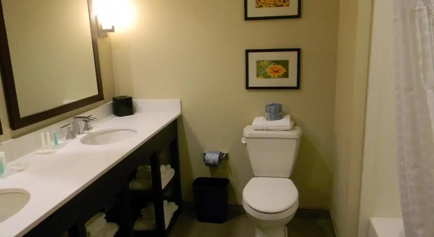Comfort Suites Youngstown North Badezimmer