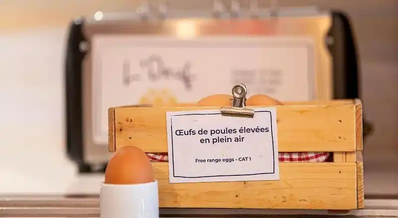 ibis Styles Honfleur Centre Historique – Hotelfoto