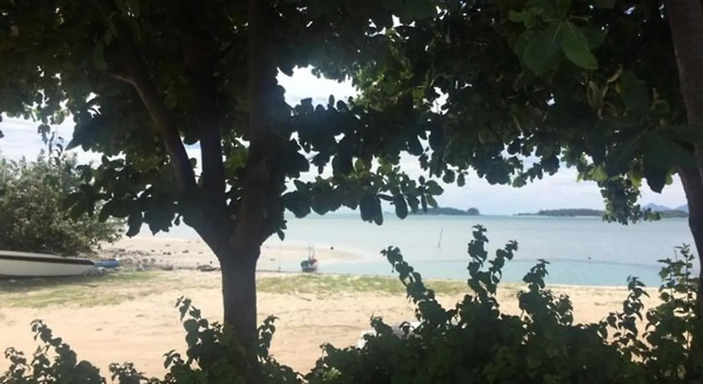 Samui Boat Lagoon Tiere