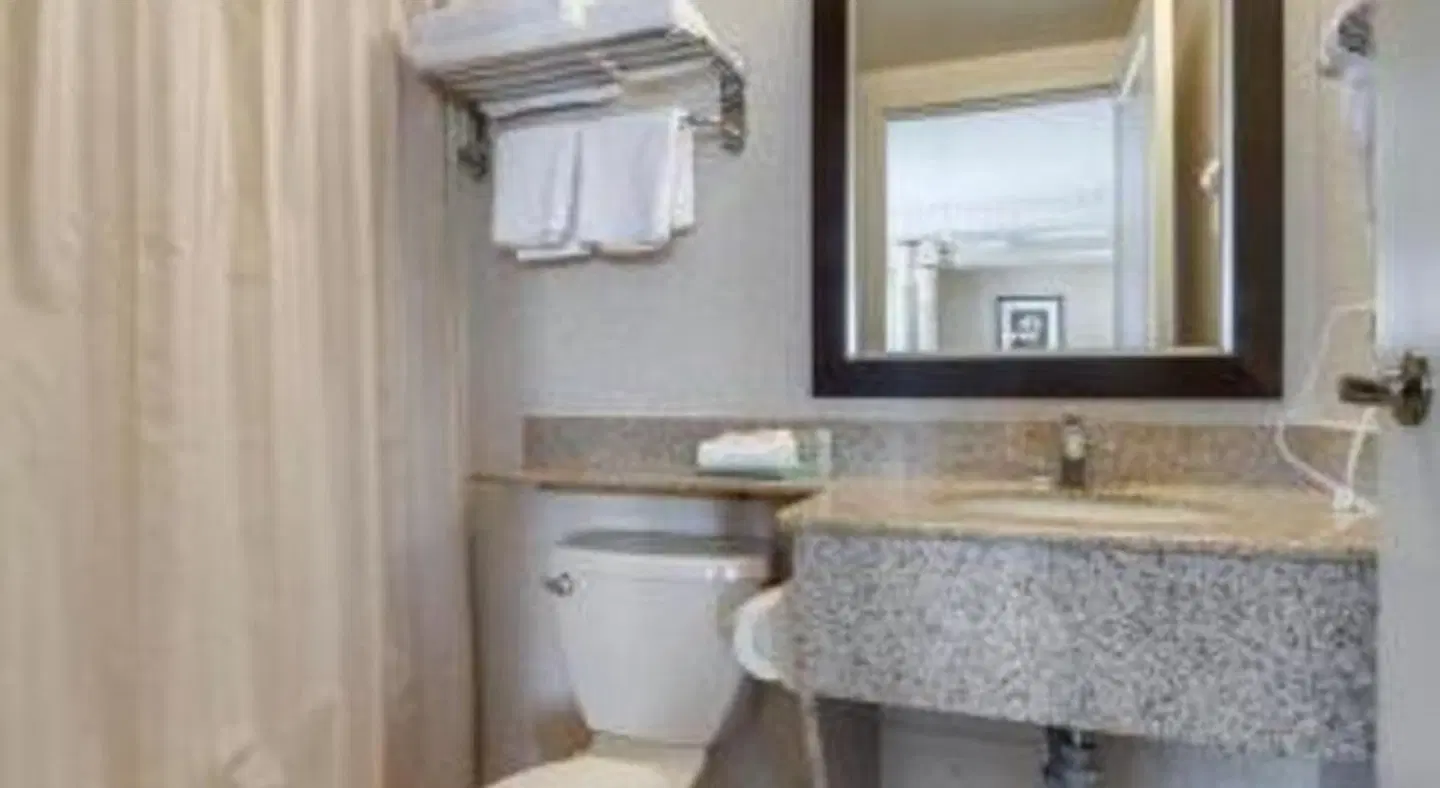 Monte Carlo Inn & Suites Downtown Markham Badezimmer