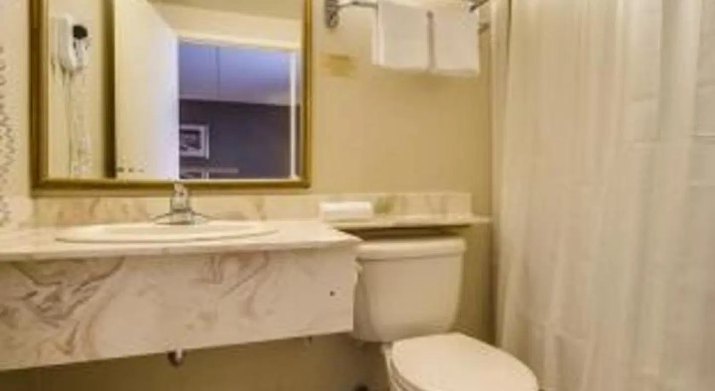 Monte Carlo Inn Markham Badezimmer