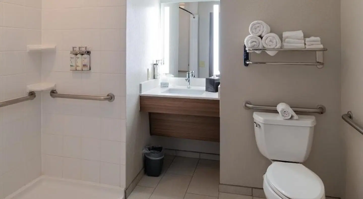 Holiday Inn Rock Hill by IHG Badezimmer