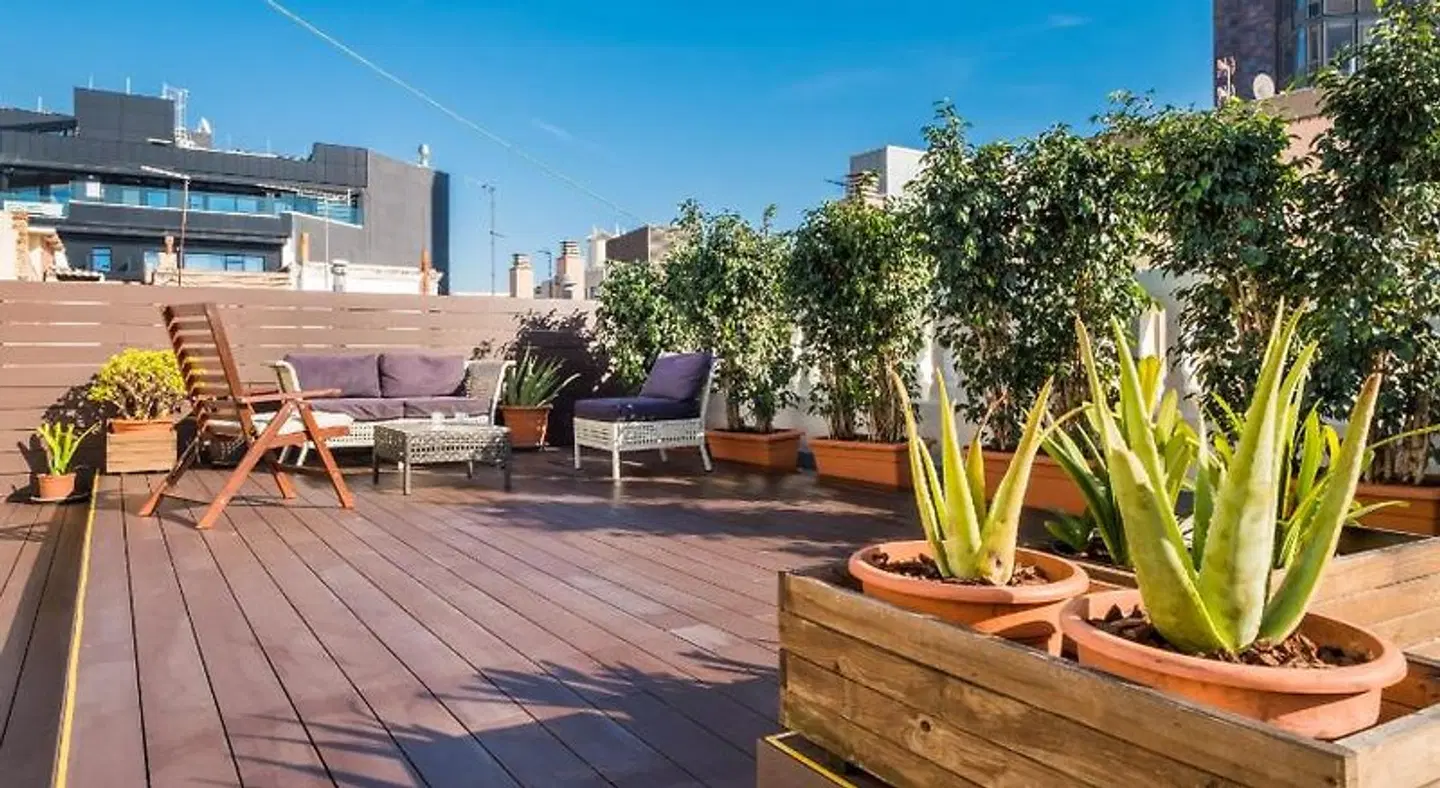 Violeta Boutique Terrasse