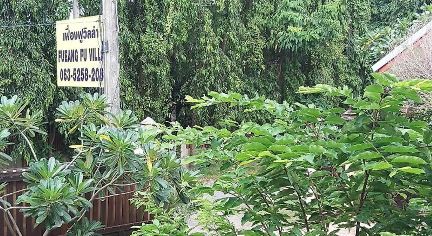 Faungfu Villa Garten