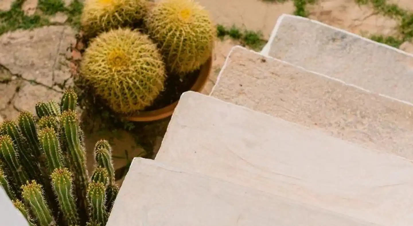 Rural Can Quince de Balafia Ibiza Terrasse