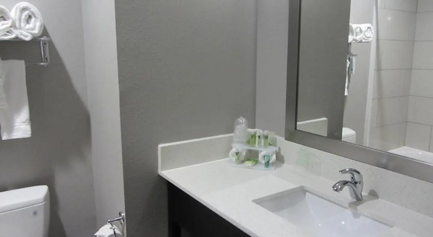 Holiday Inn Express & Suites Houston North - IAH Area by IHG Badezimmer
