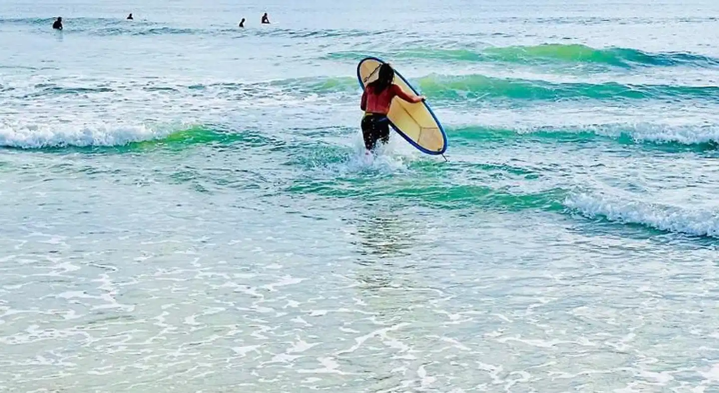 Holiday Inn Express & Suites Oceanfront Daytona Bch Shores Tiere