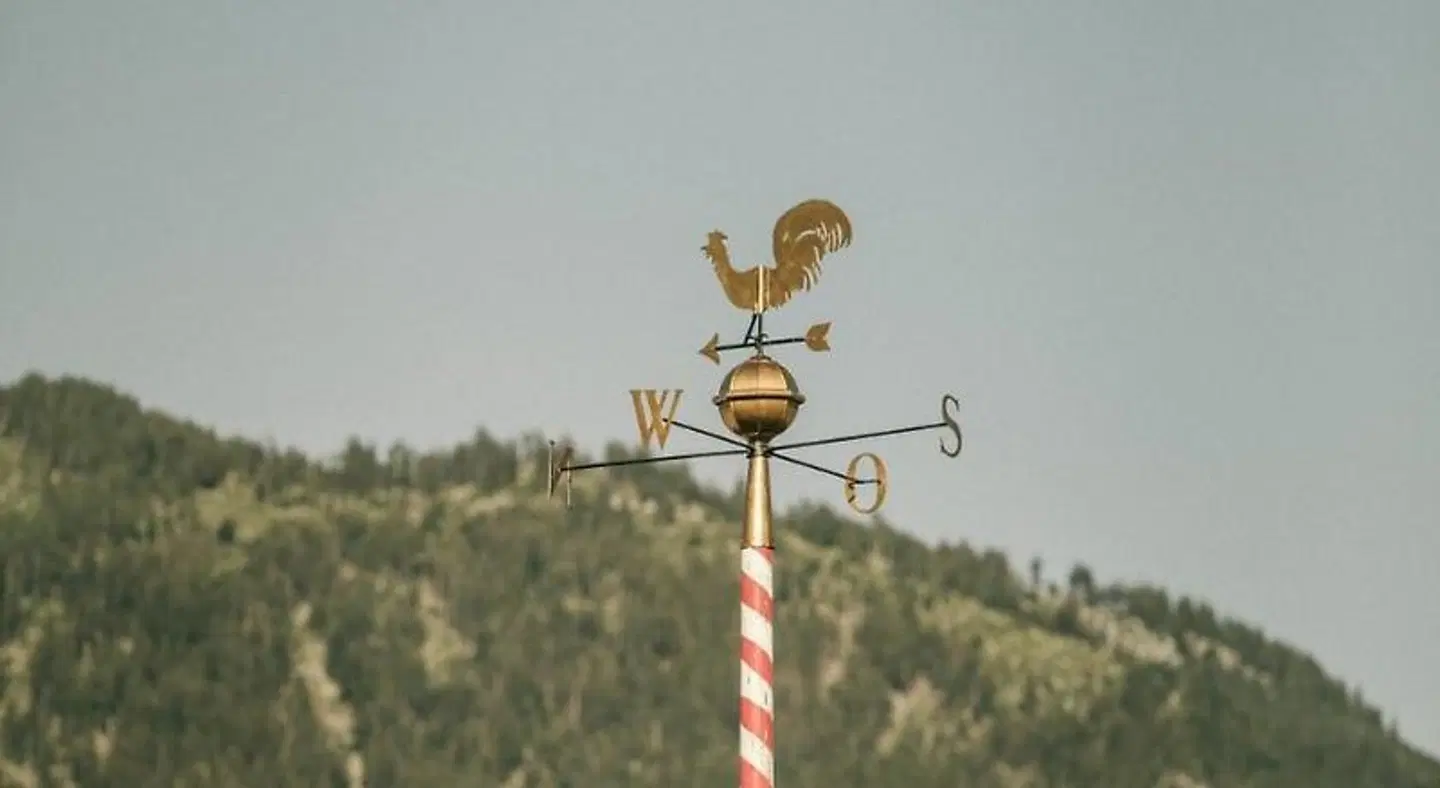 Goldener Ochs SPORTS_AND_LEISURE