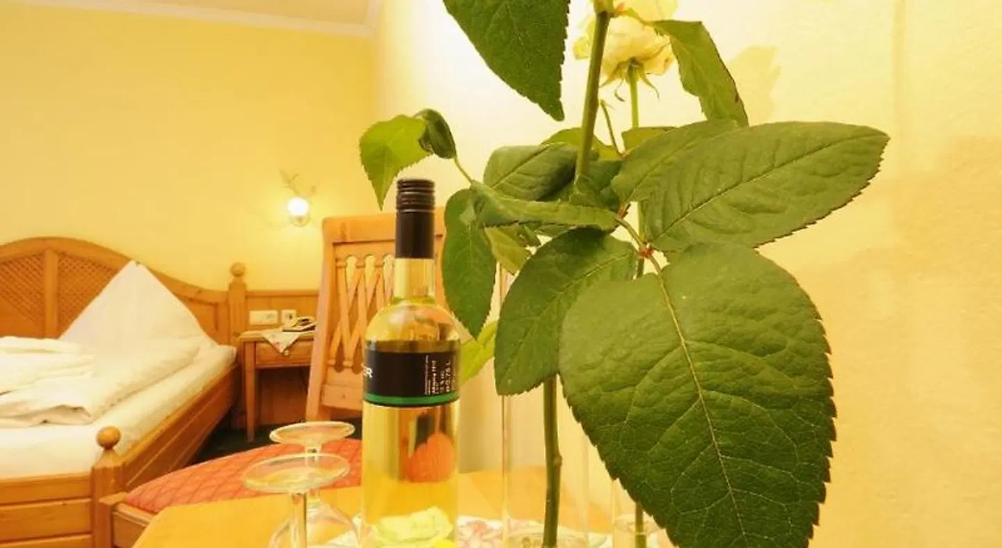 Aparthotel Kristall ROOM_EXAMPLE