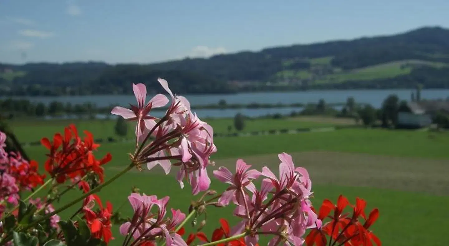 Hotel Walkner LANDSCAPE