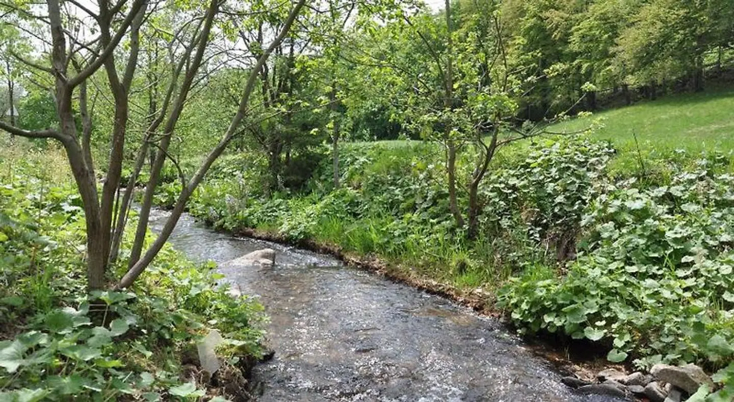 Waldmühle Garten