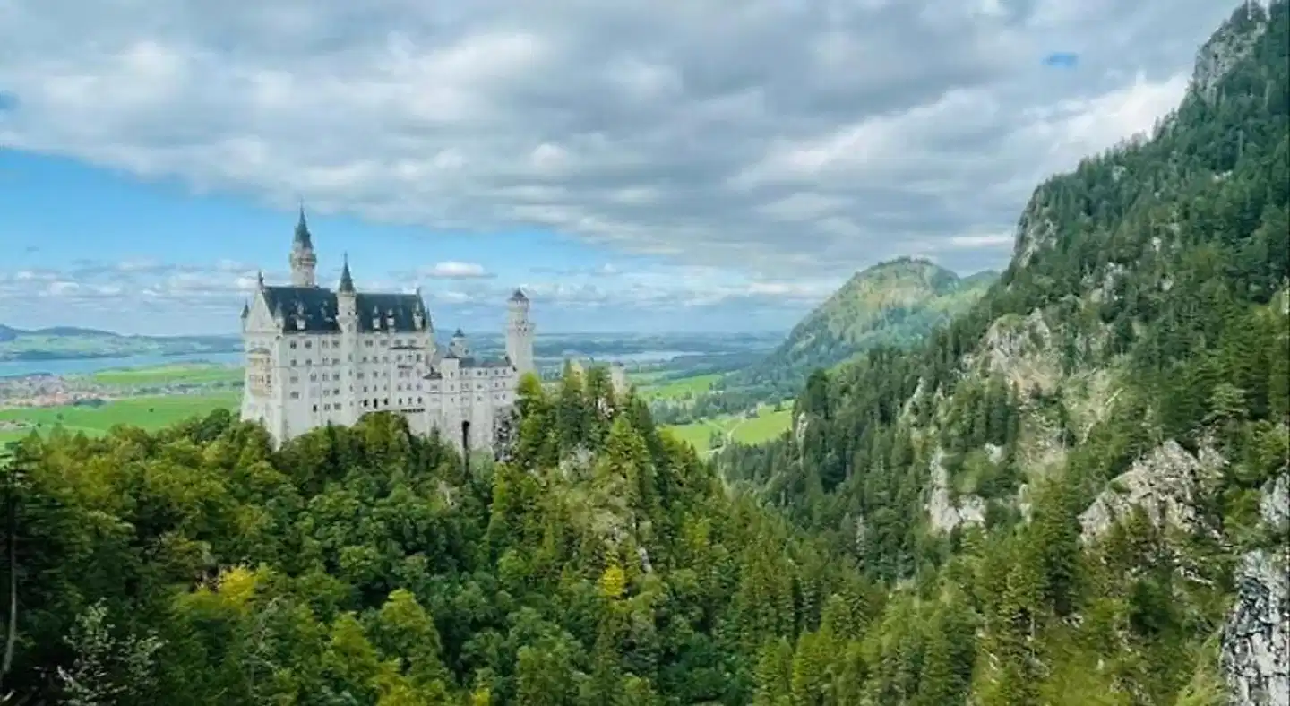 House L.A Landschaft