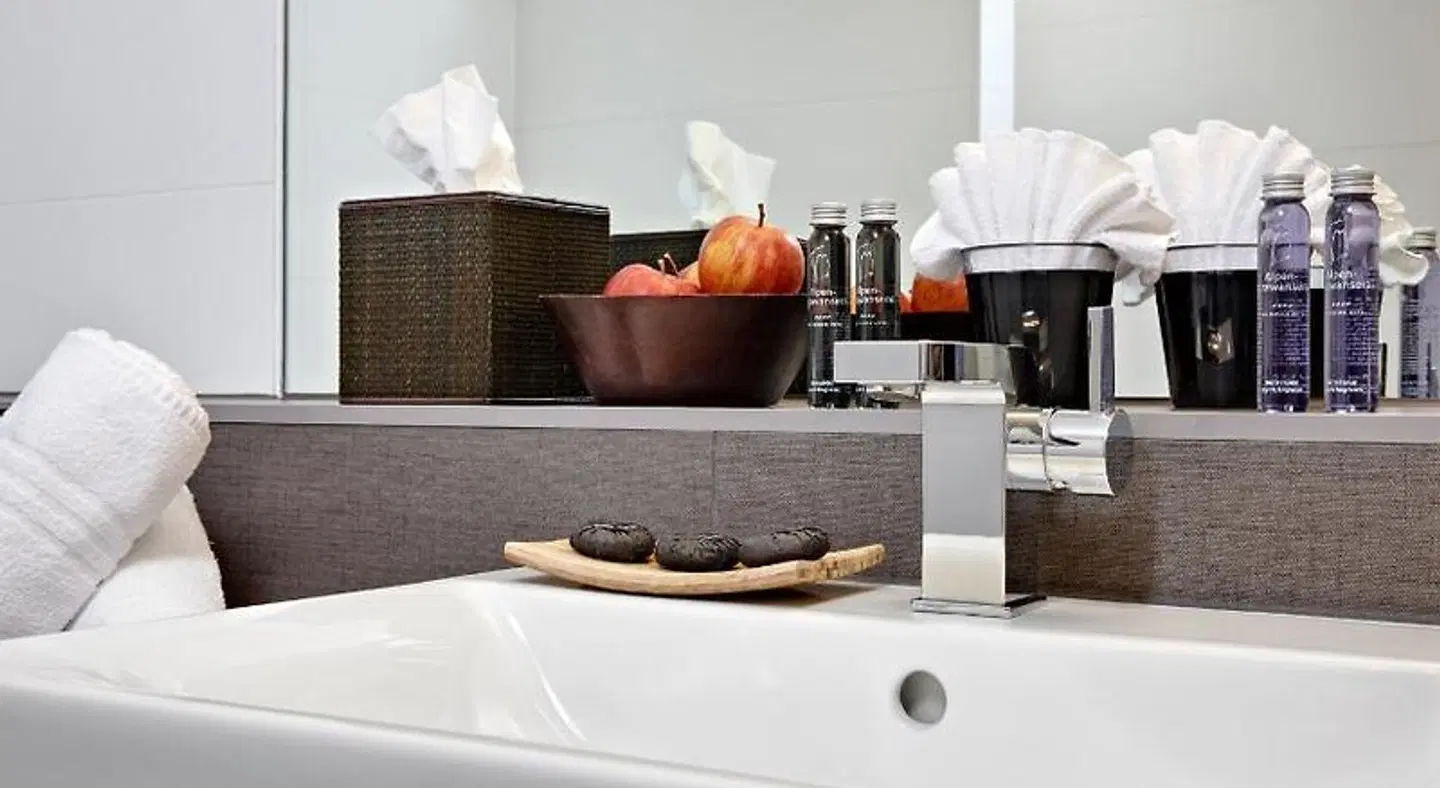 Alpen-Karawanserai Time Design Hotel ROOM_EXAMPLE