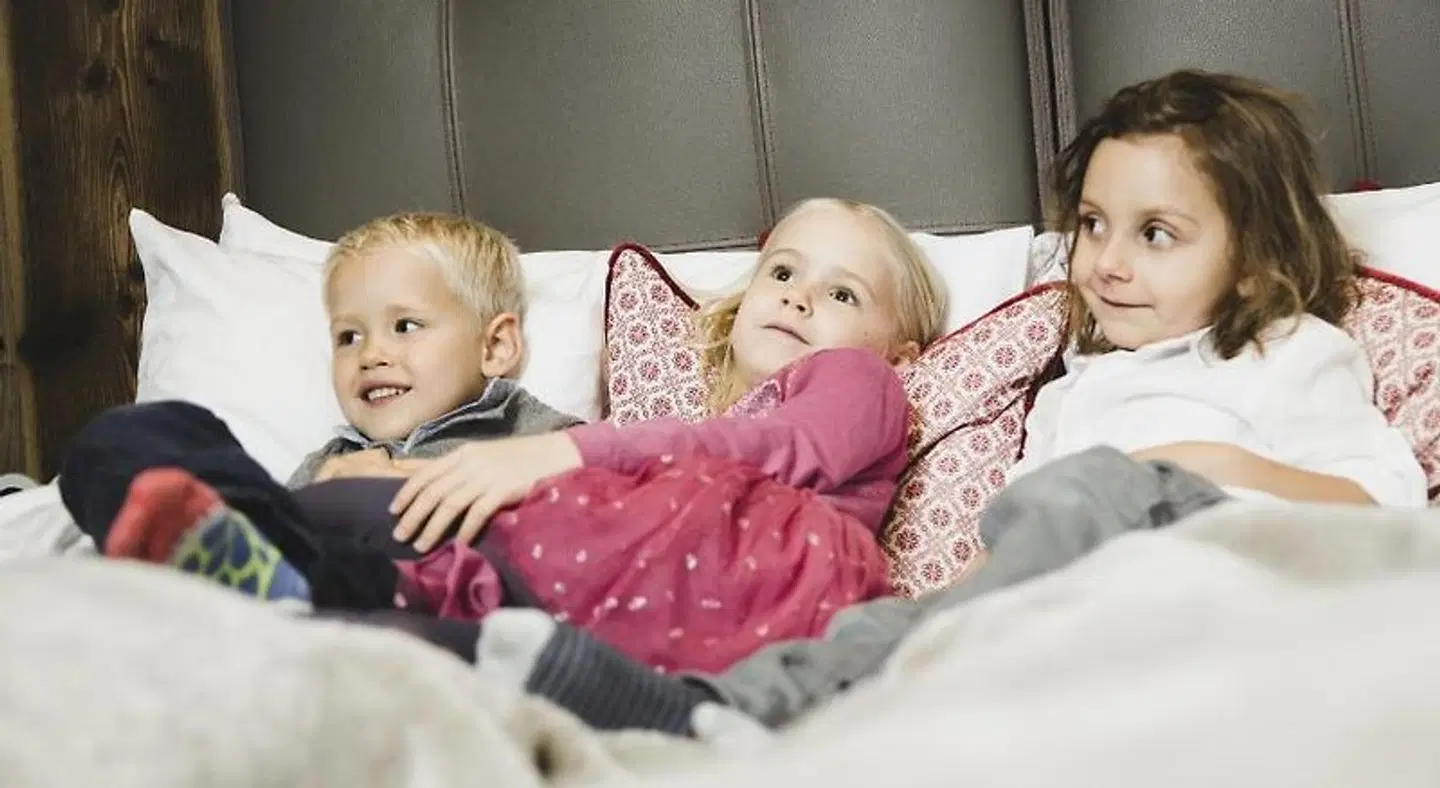 Löwen Montafon Tiere