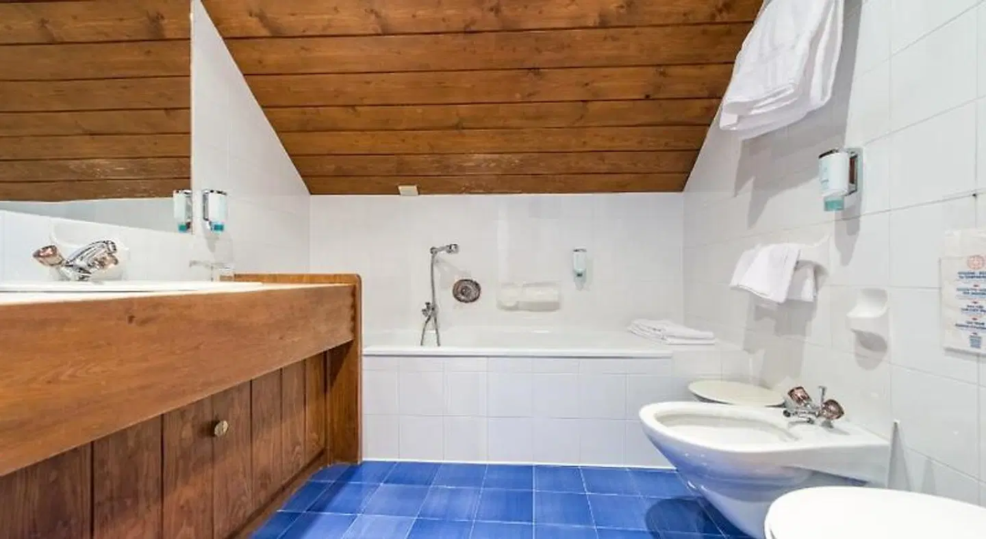 Adler Suite & Stube Badezimmer