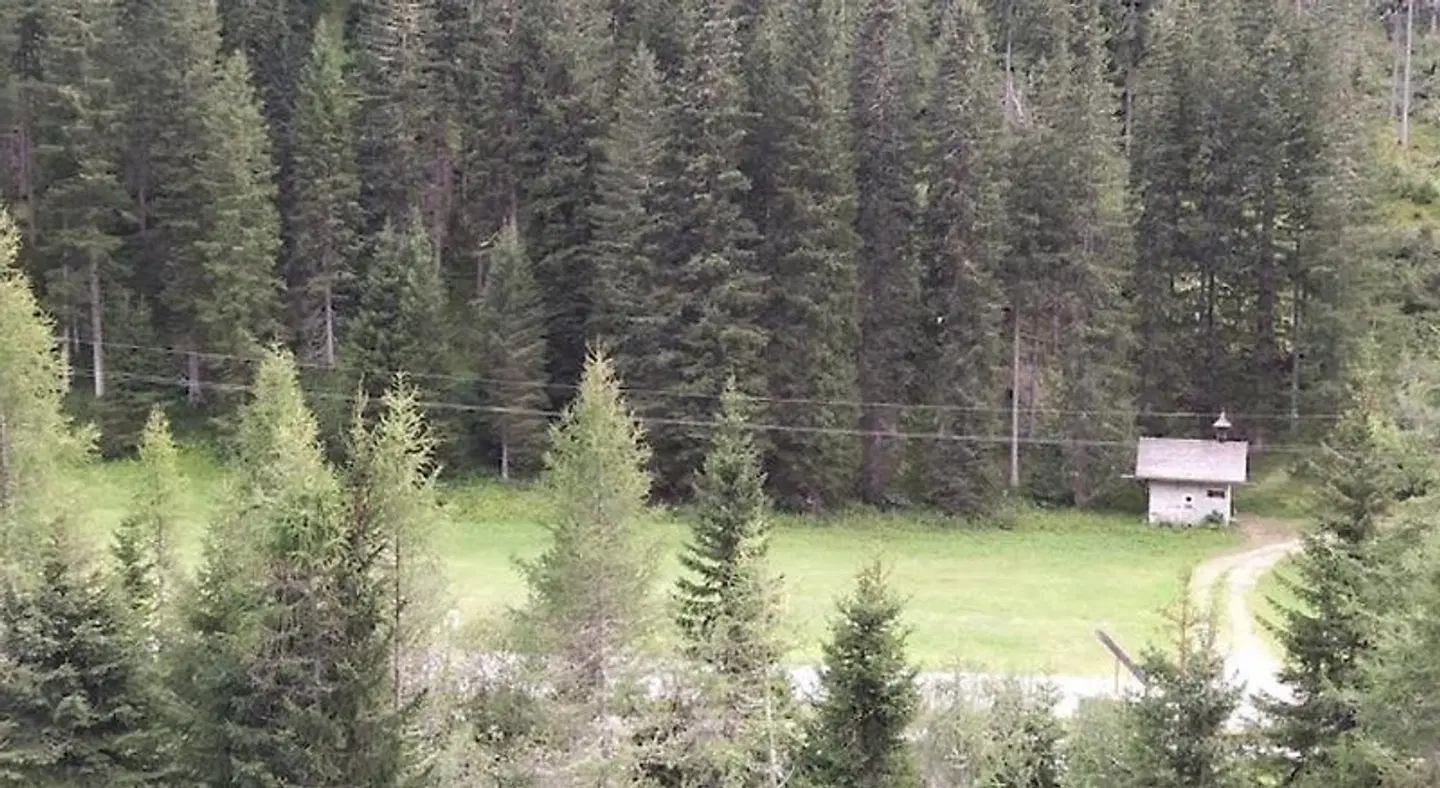 Hotel Nockalm Tiere