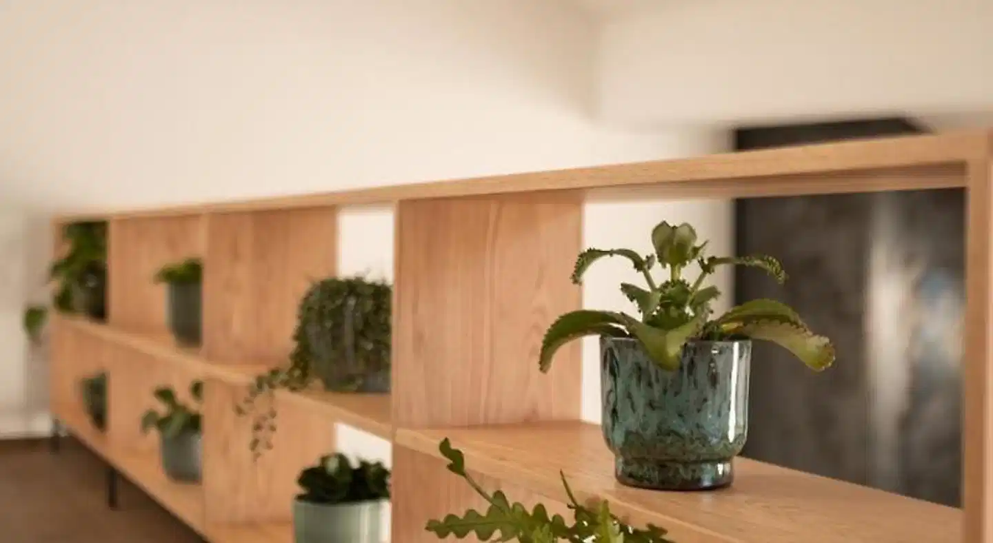 Kuntino Suites Lobby