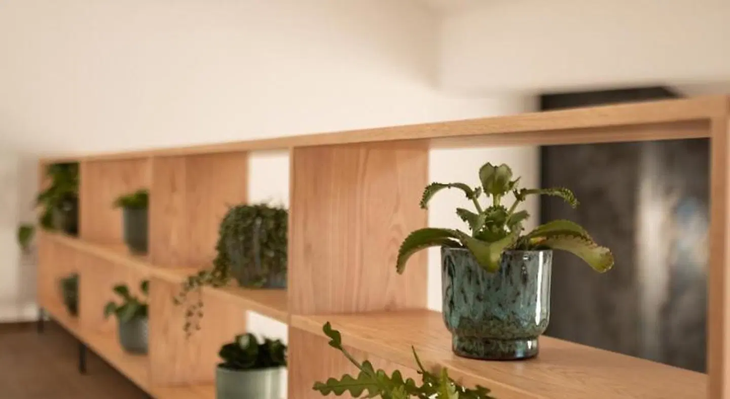 Kuntino Suites LOUNGE_LOBBY