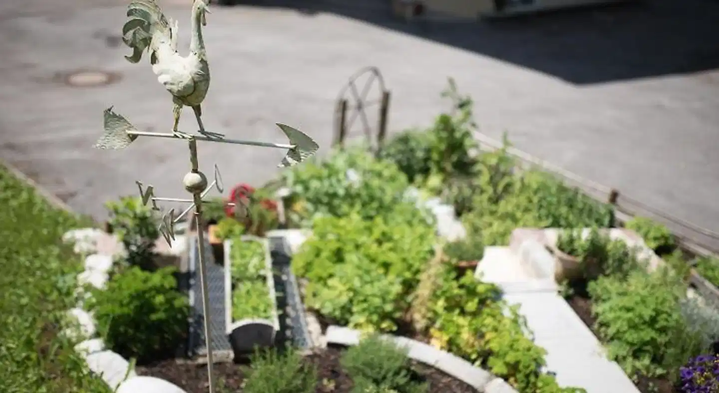 Adolphine Garden Terrasse