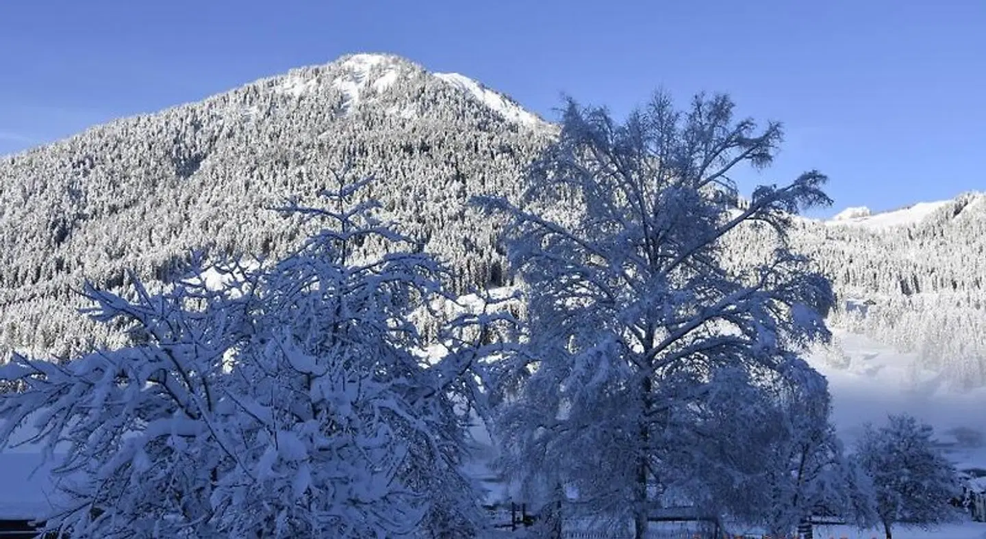 Landhotel Anna LANDSCAPE