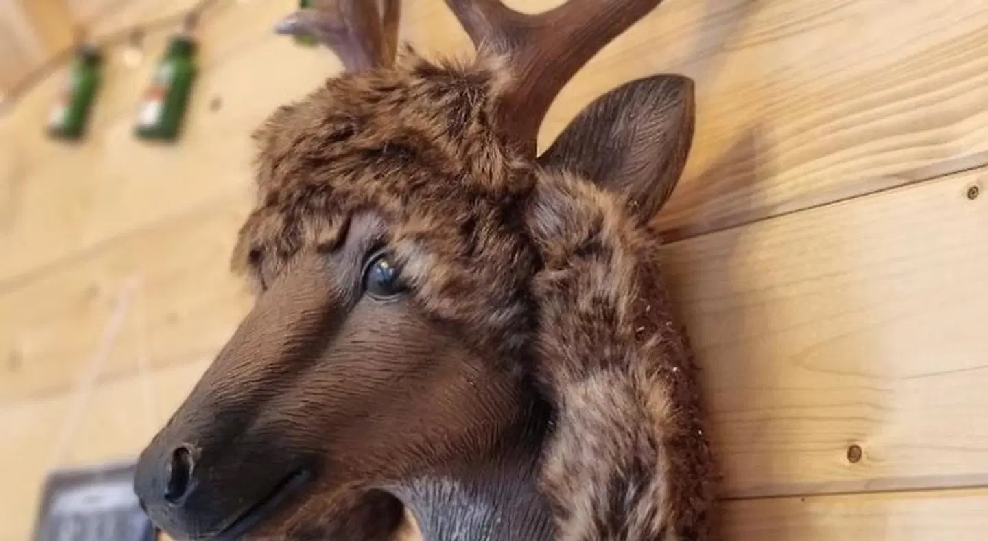 Landhaus Osborne Tiere