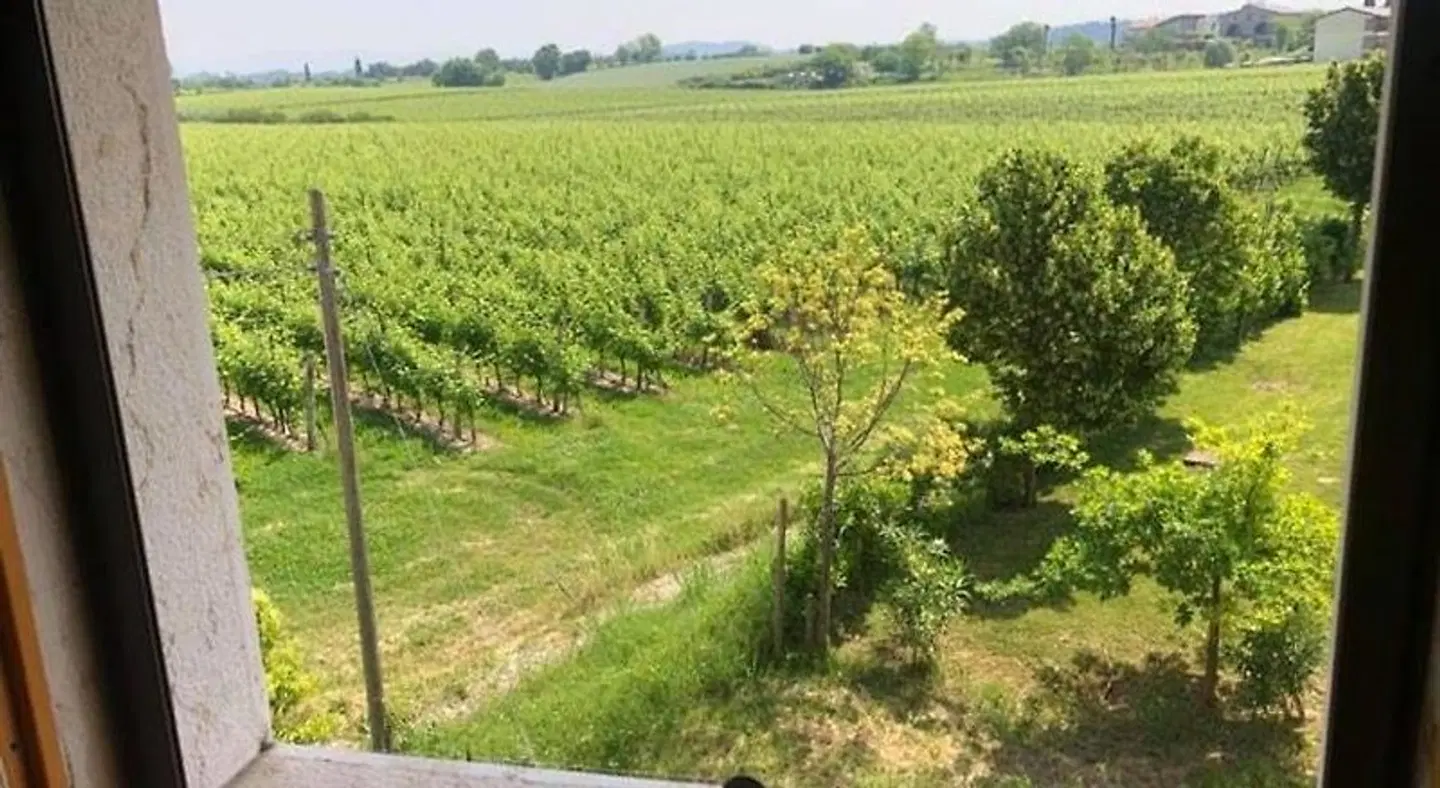Albergo Mio LANDSCAPE