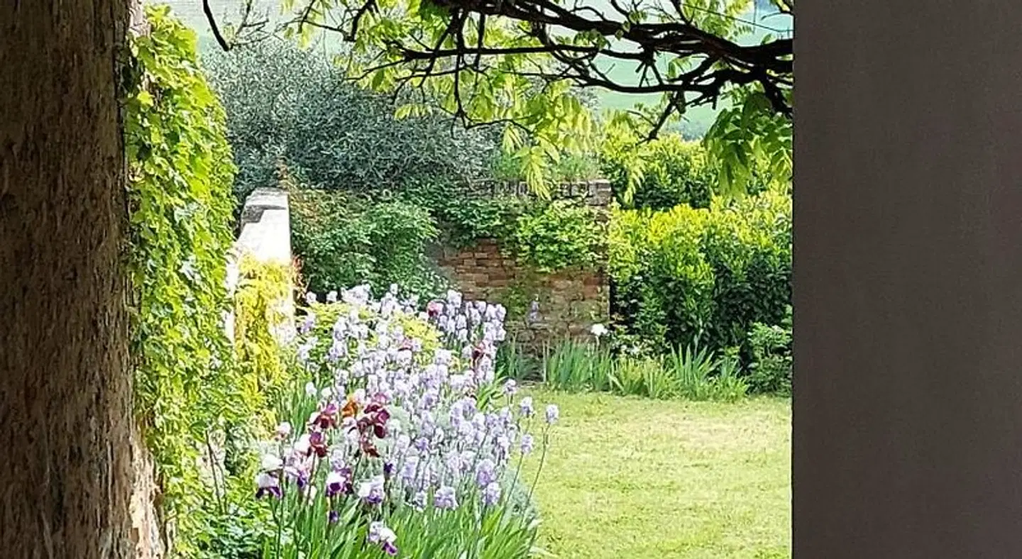 Casa Rovelli LANDSCAPE