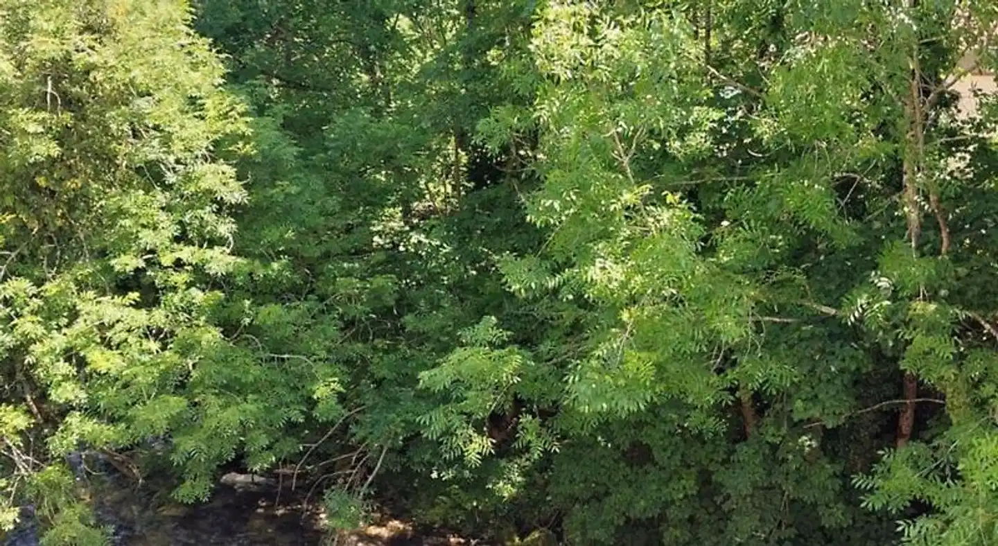 Hotel Rural Cabrales Landschaft
