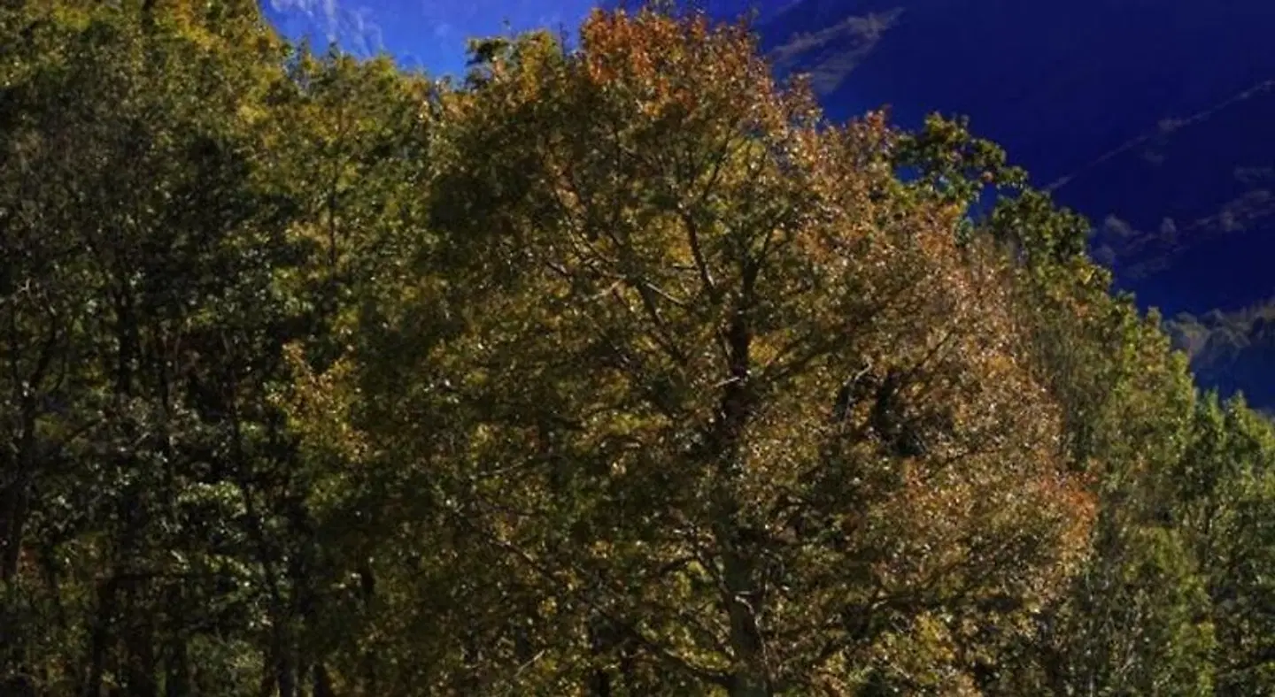 Hotel Arenas de Cabrales- apartamentos LANDSCAPE