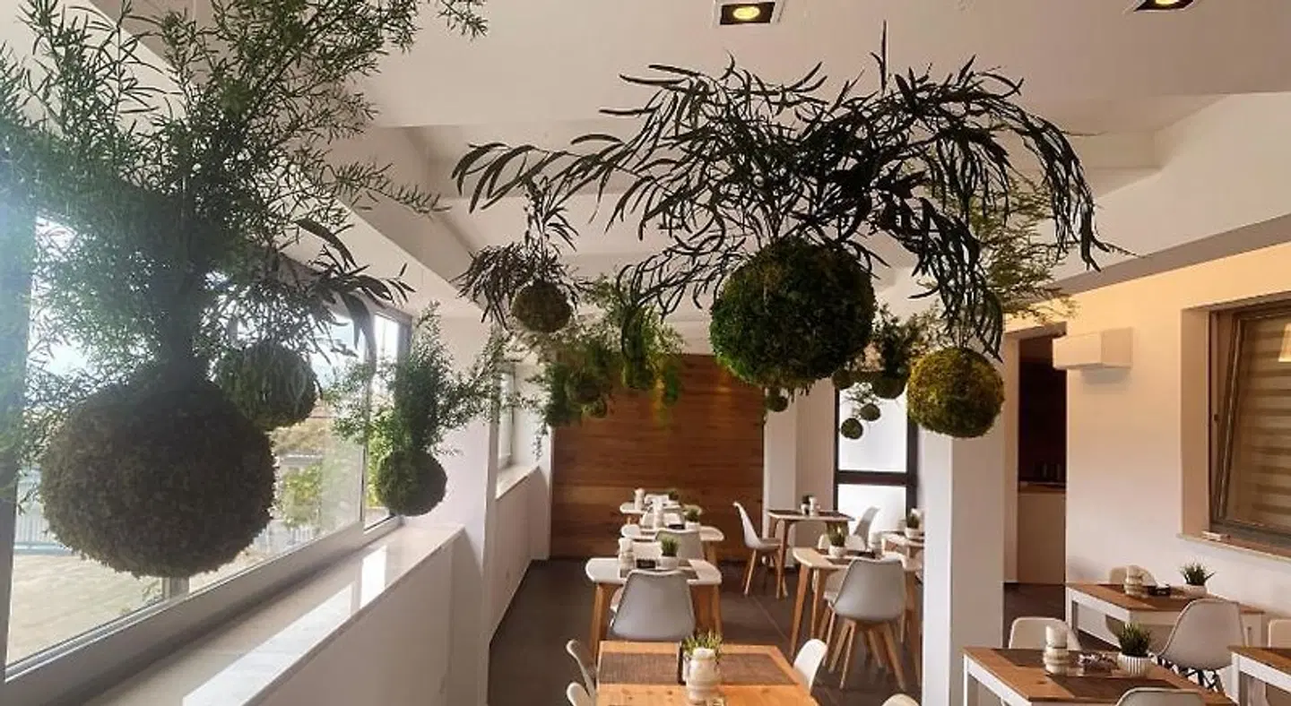Moma Hotel Restaurant
