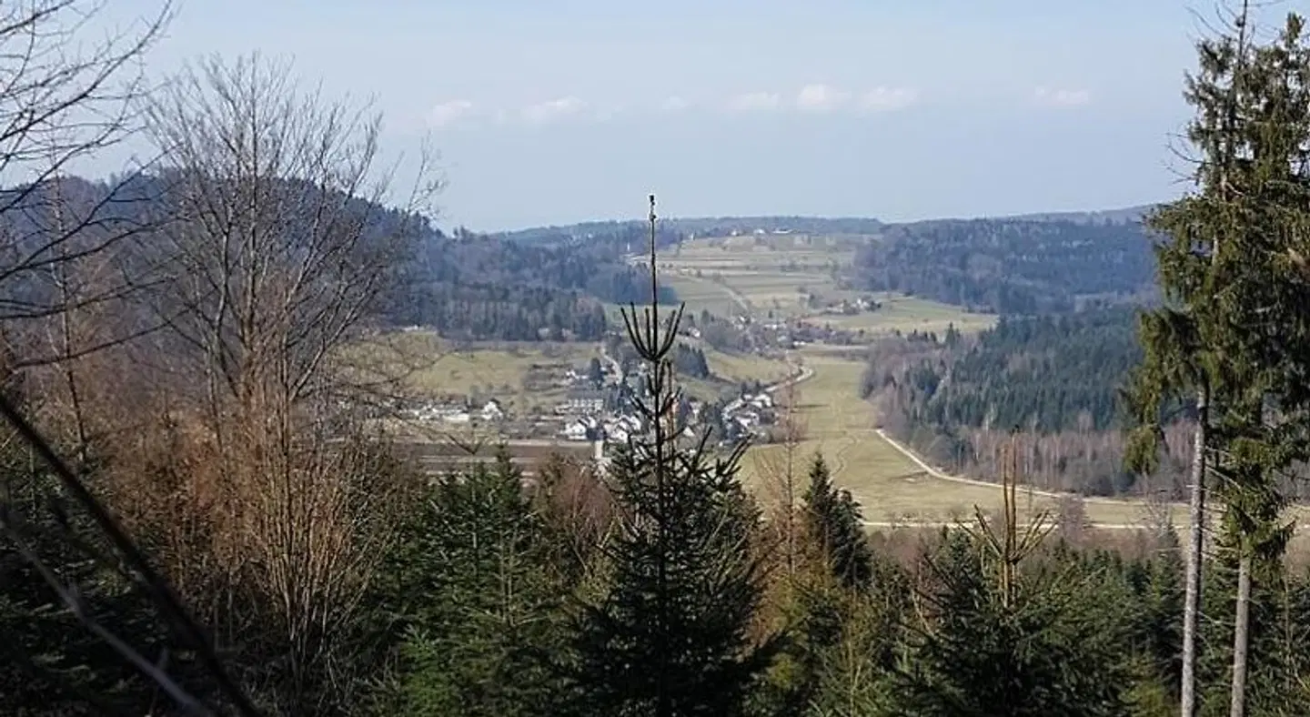 Eventhof Platzhirsch LANDSCAPE