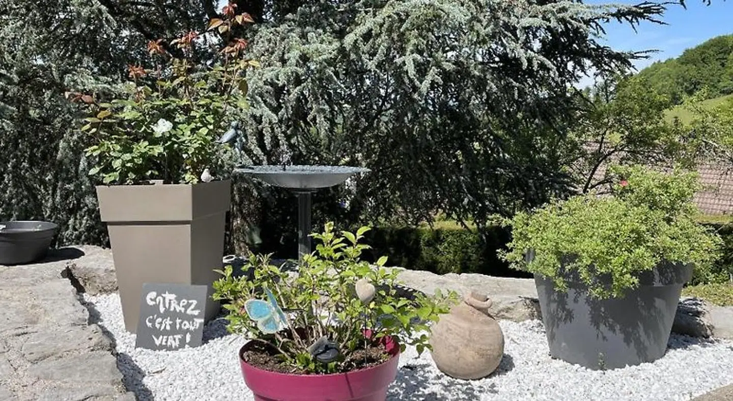 Le chalet des Pesettes Garten