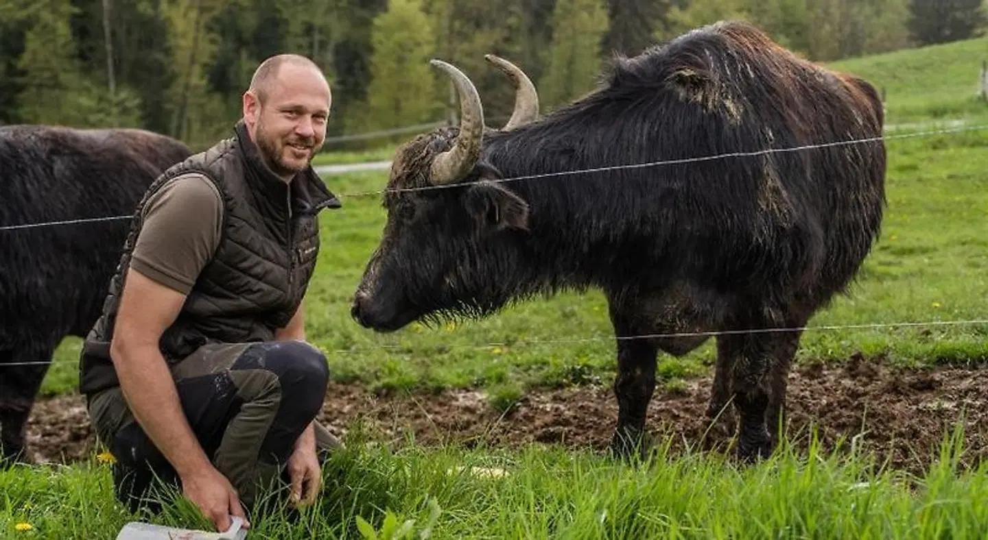 Weingut Hotel Restaurant Mahorko Tiere