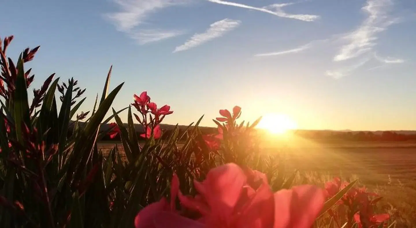 Des Branches & Vous LANDSCAPE