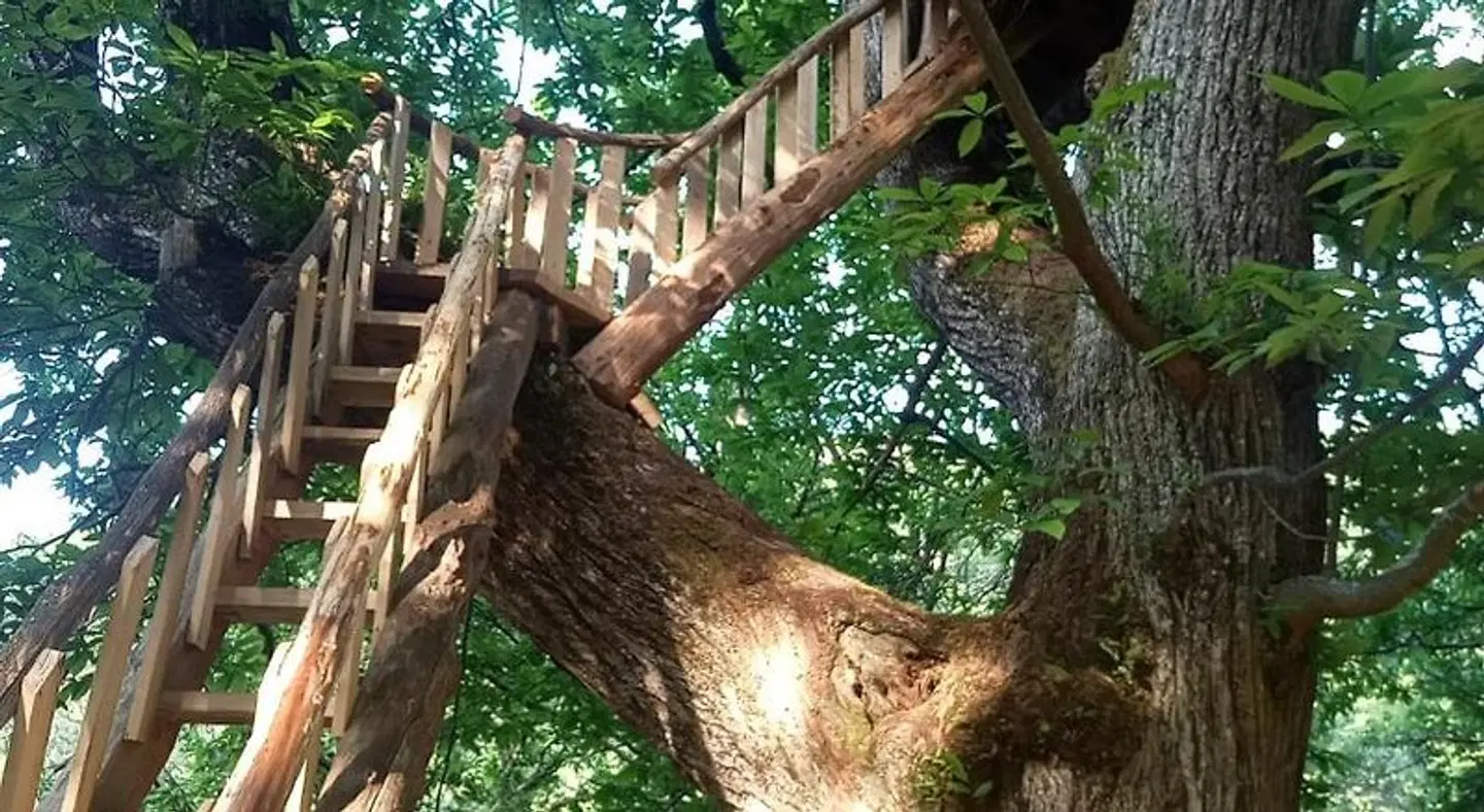 La Ferme des Cévennes Tiere