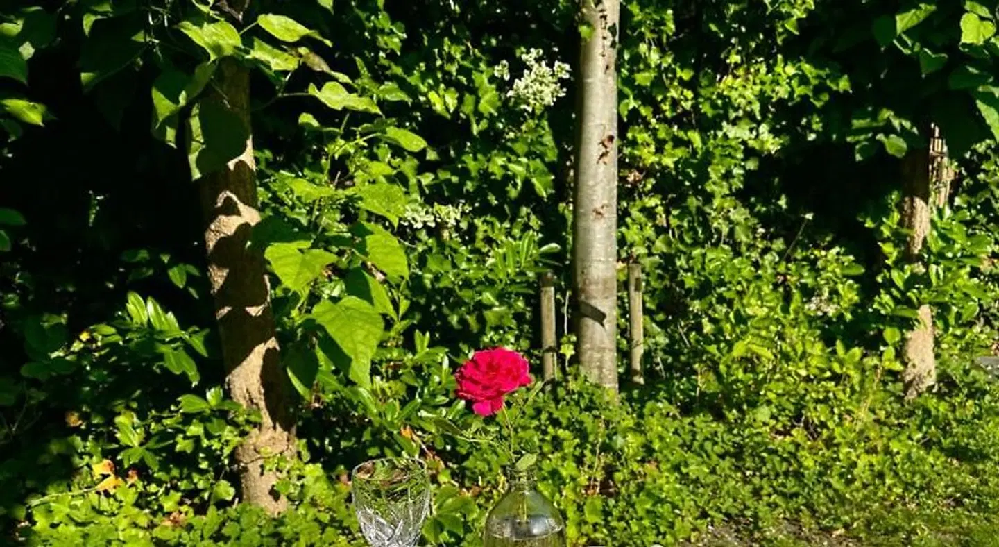 Bed & breakfast Yerseke Garten
