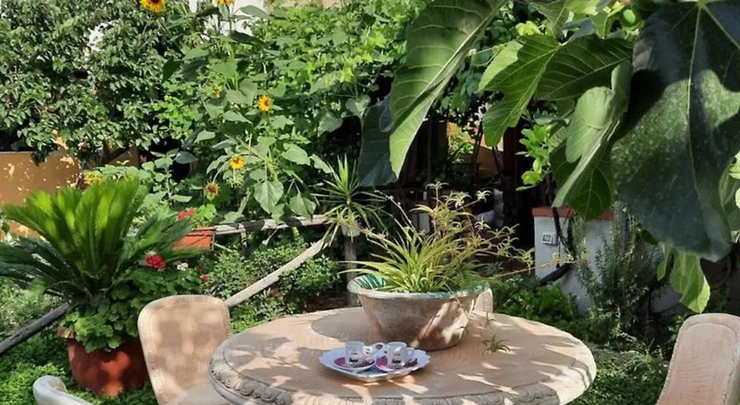 Buonocore Rooms Garten