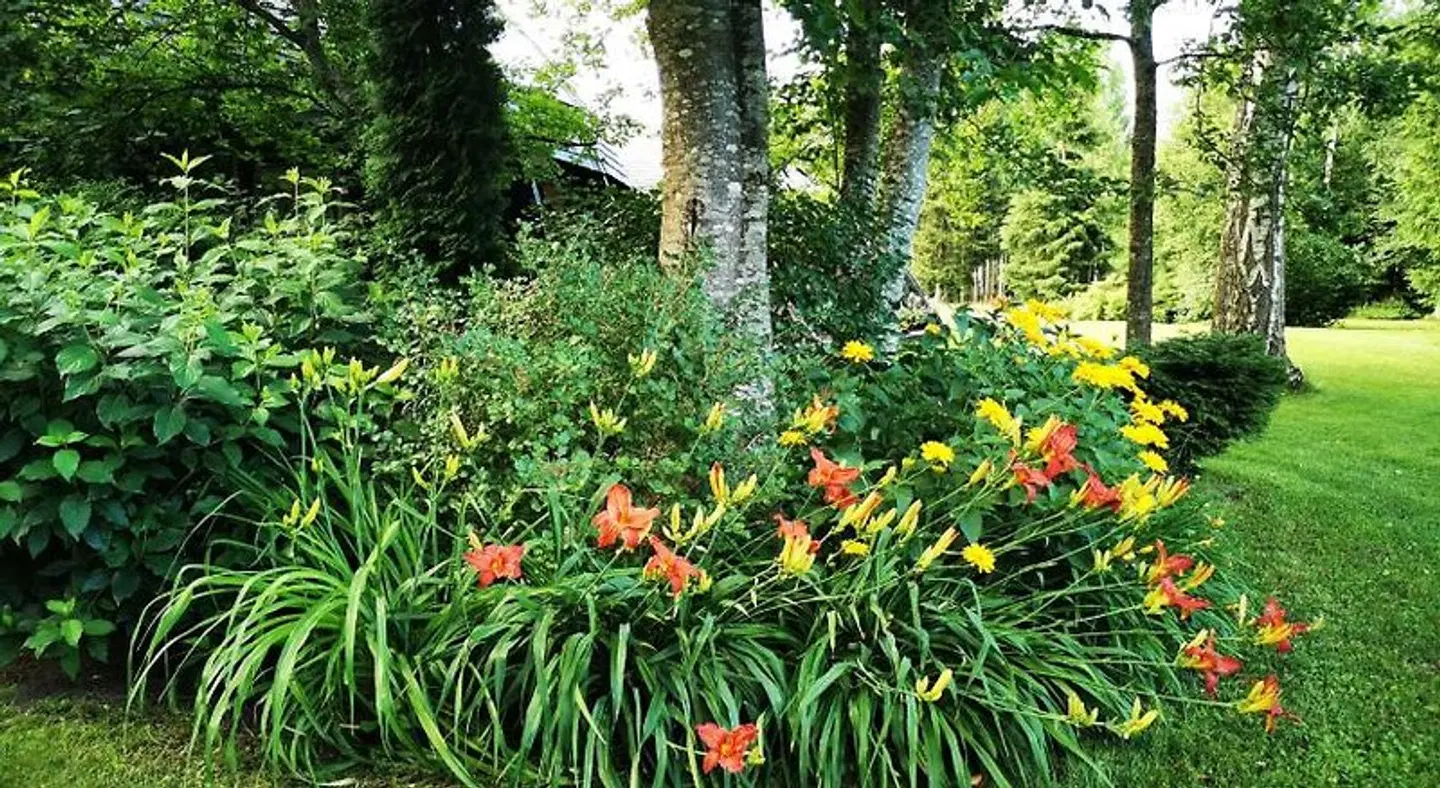 'rpus laika (Beyond the time) Garten