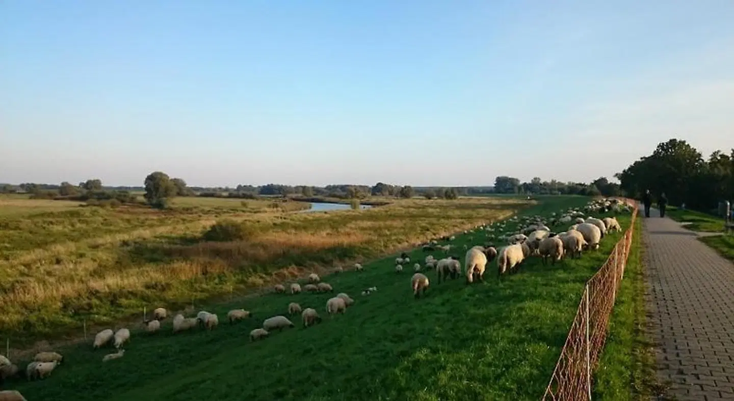 Steinhagen Tiere