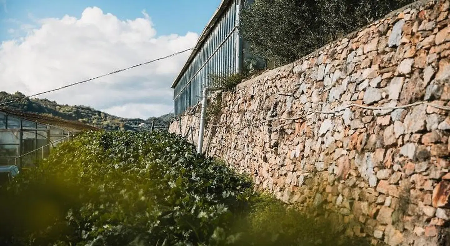 Agriturismo Rose di Pietra LANDSCAPE