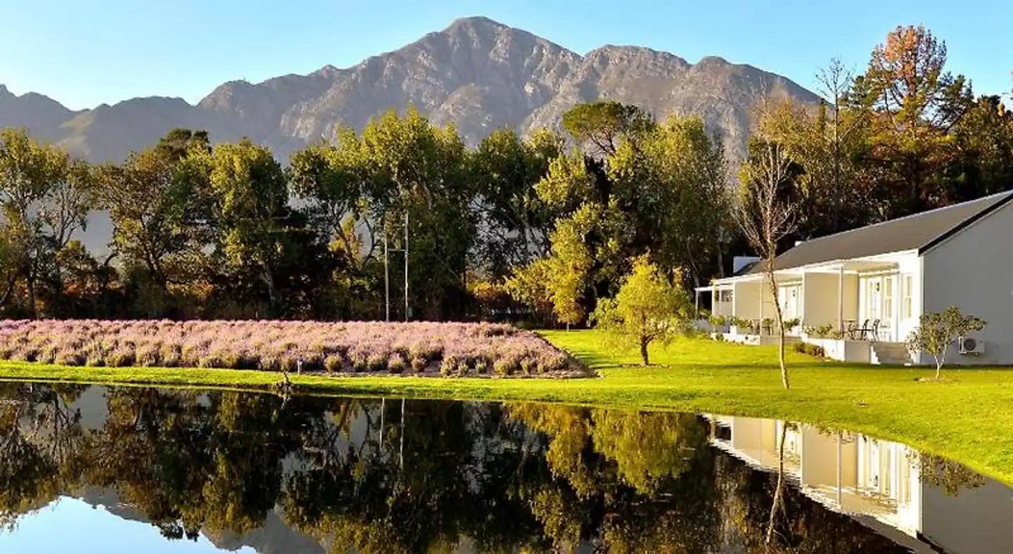 Lavender Farm Guest House Landschaft