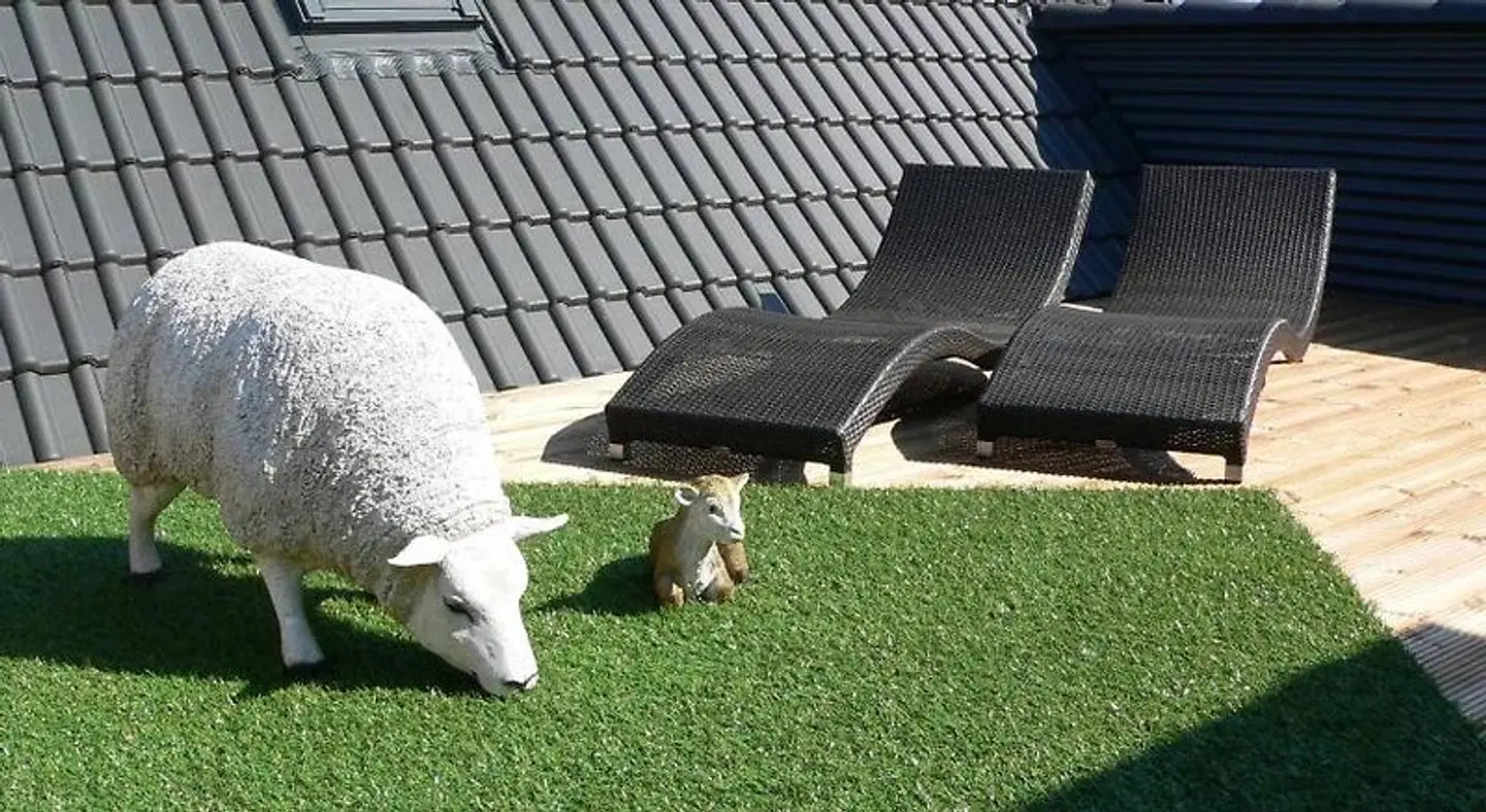 Nordsee Domizil Schobüll Tiere