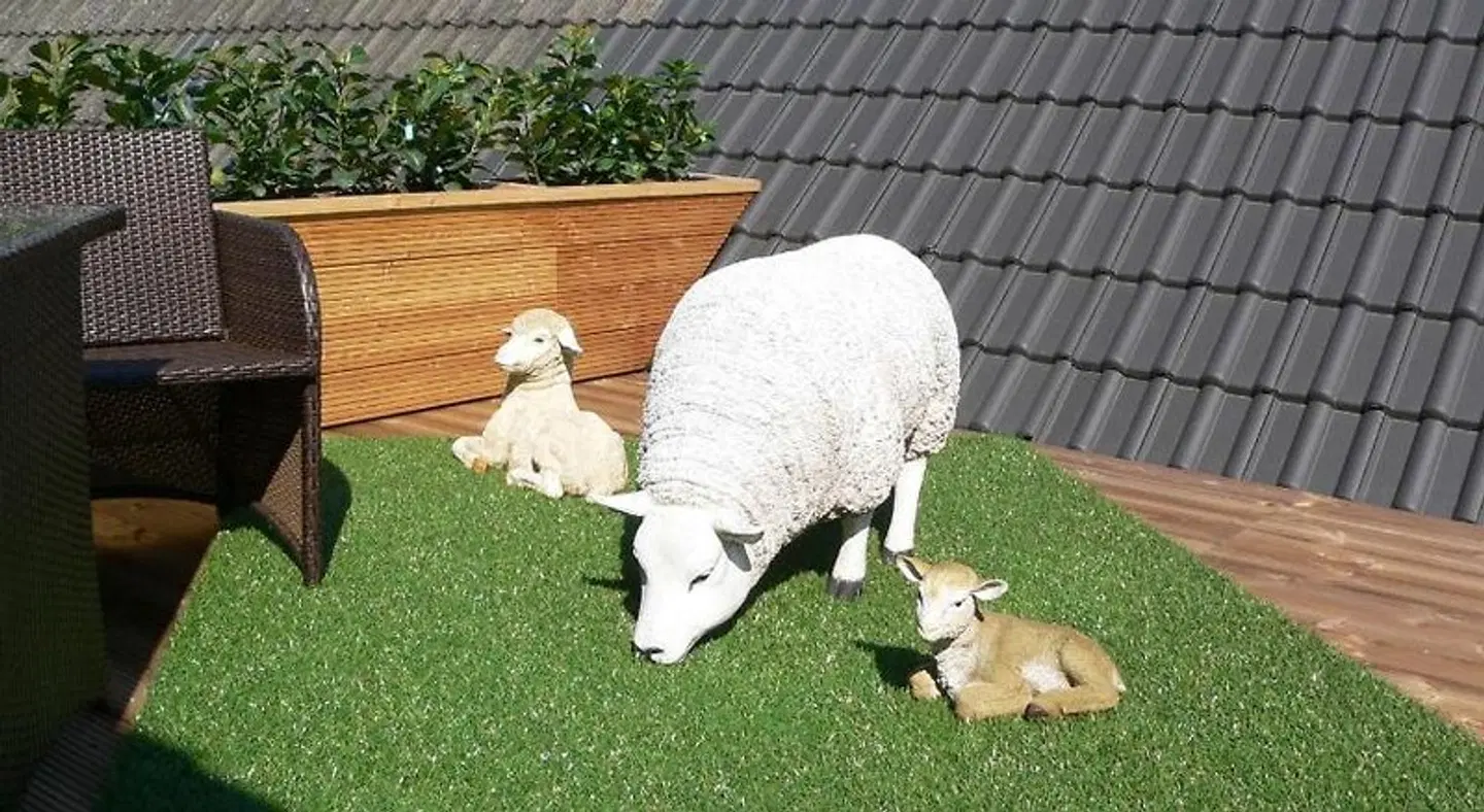 Nordsee Domizil Schobüll Tiere