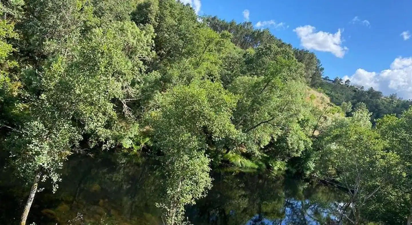 Casa Moinho da Mouta Landschaft