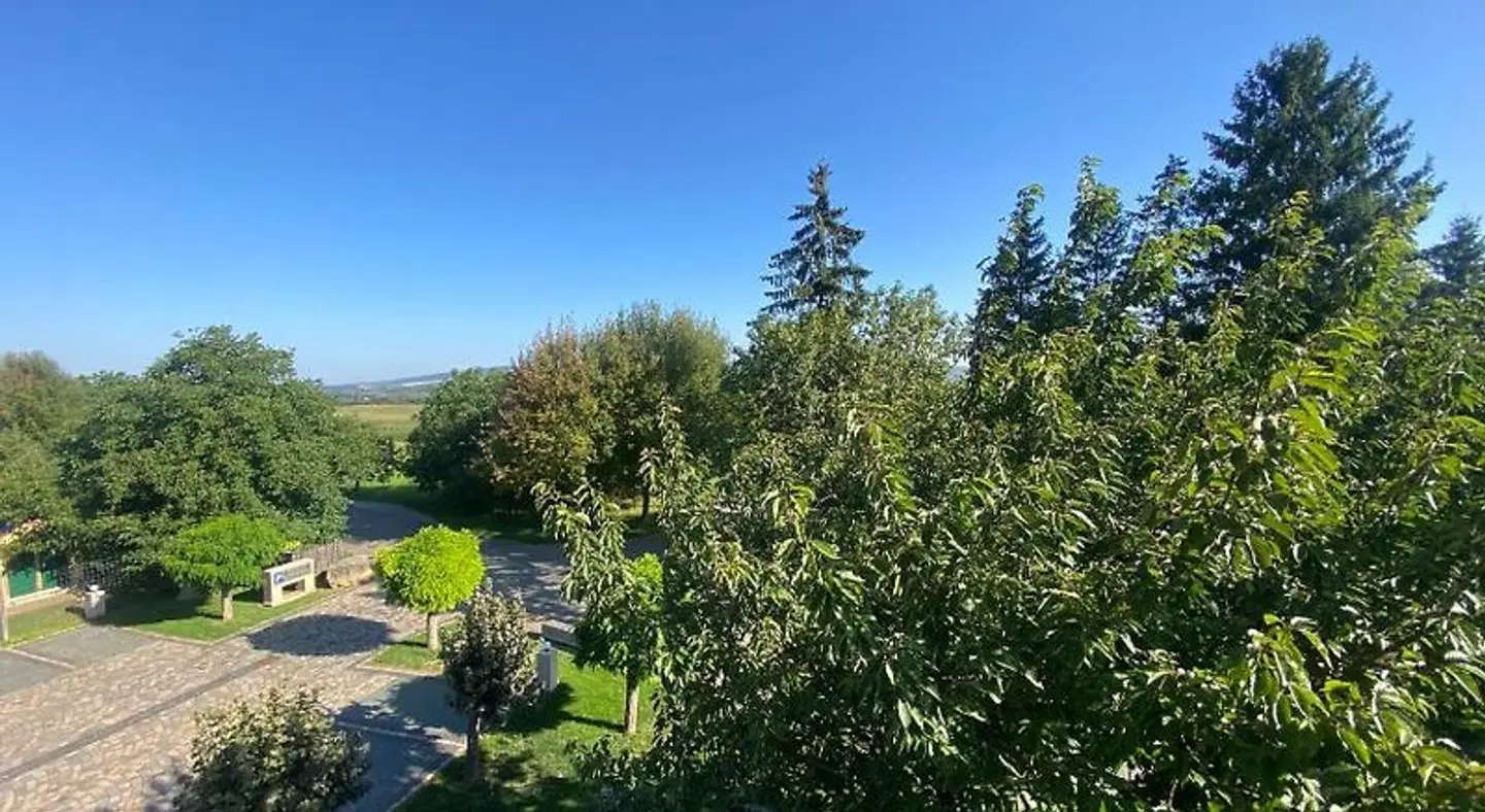 Schwartze LANDSCAPE