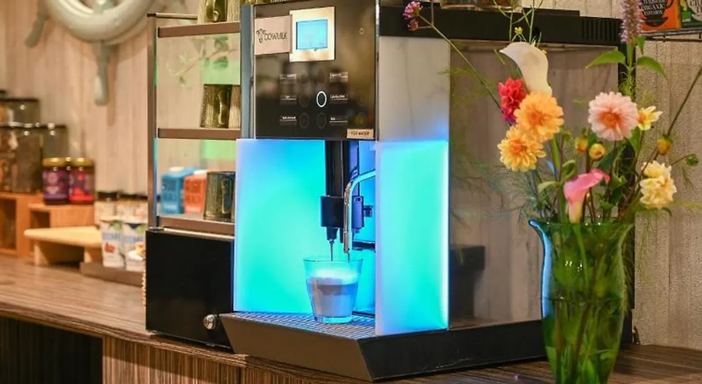 Court Garden - Ecodesigned OUTDOOR_POOL