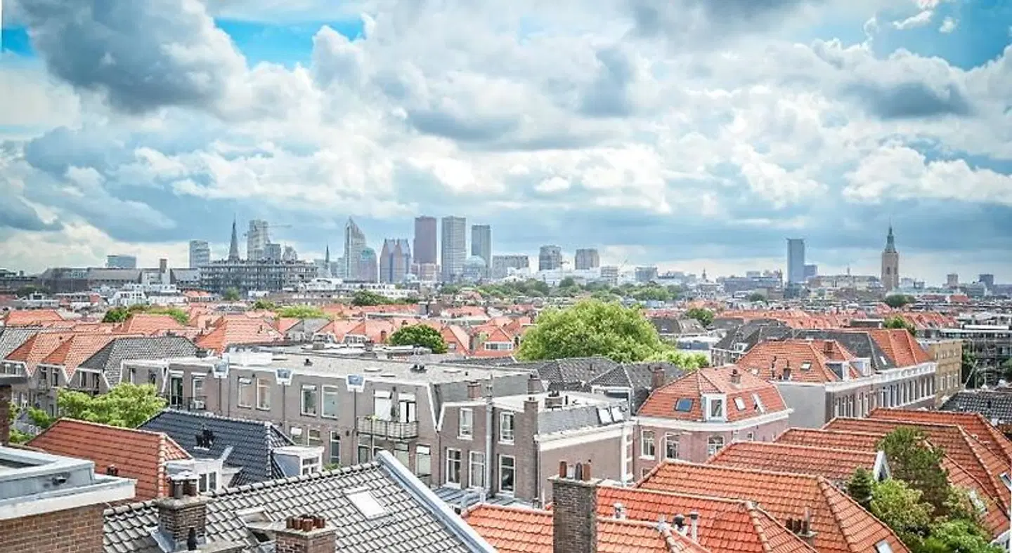 Court Garden - Ecodesigned Terrasse